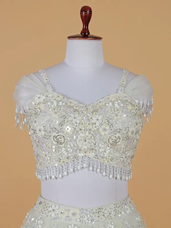 Luxurious looking off white net lehenga choli