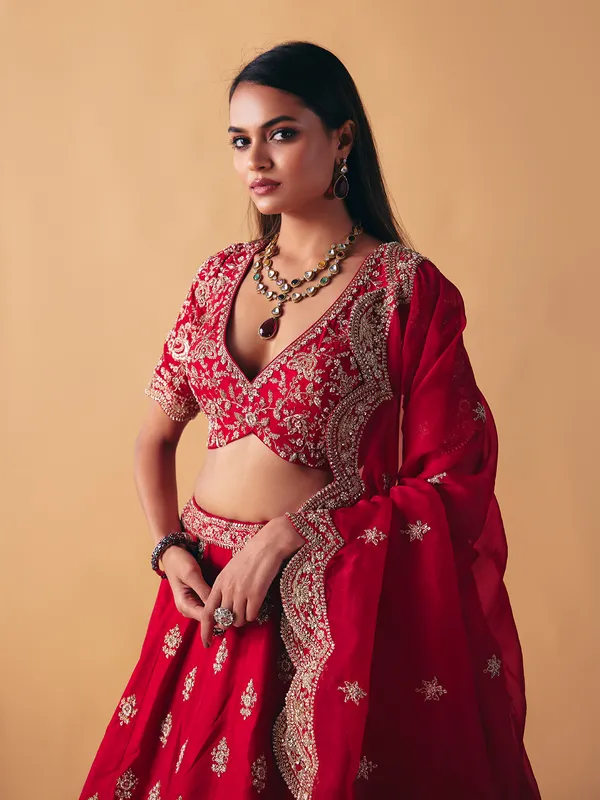 Maroon raw silk zardosi lehenga choli