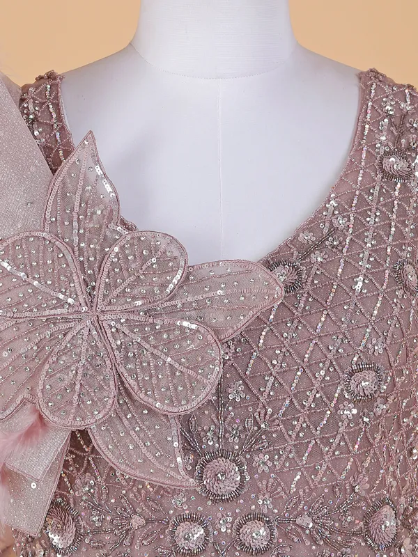 Mauve pink gown in net