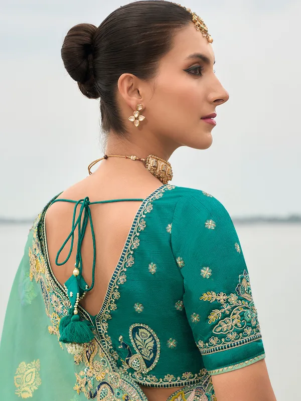 Mint green tissue silk saree with detailing
