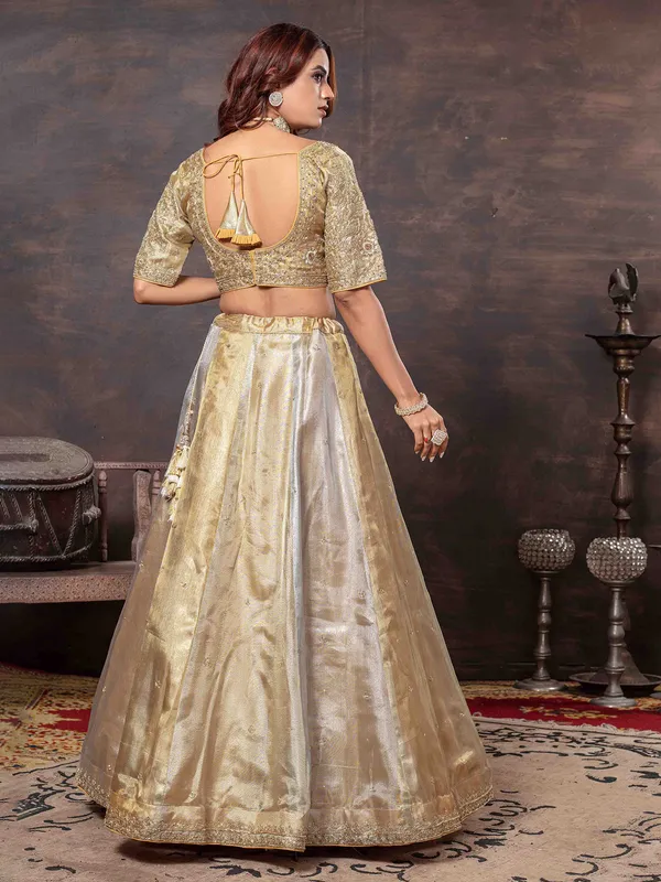 Multi color lehenga choli with heavy weaving