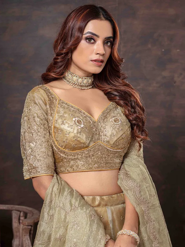 Multi color lehenga choli with heavy weaving