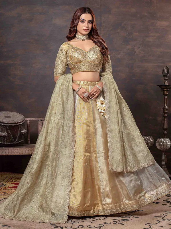 Multi color lehenga choli with heavy weaving