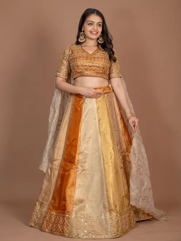 Multi color tissue silk lehenga choli with mirror work