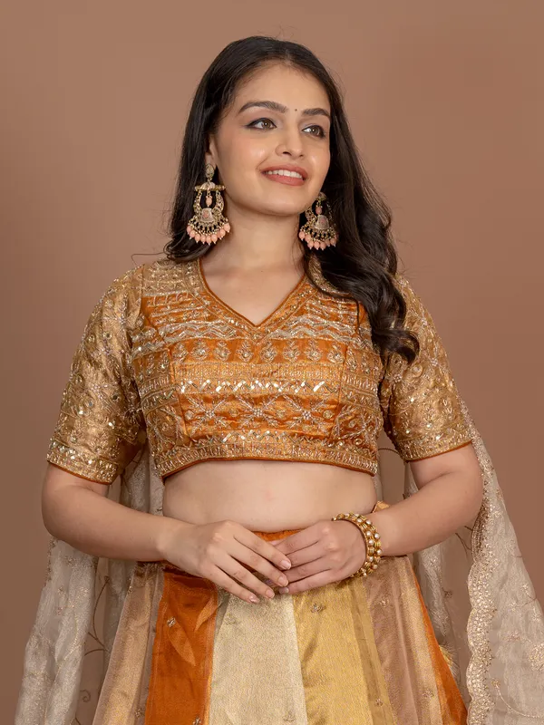 Multi color tissue silk lehenga choli with mirror work