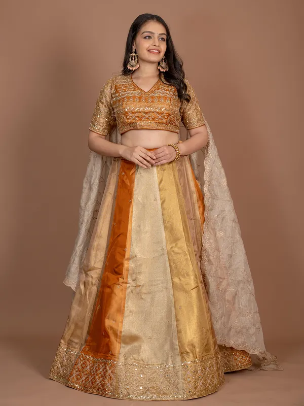 Multi color tissue silk lehenga choli with mirror work