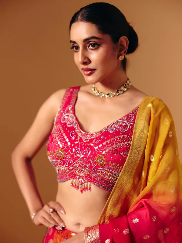 Multicolor banarasi silk embellished lehenga choli