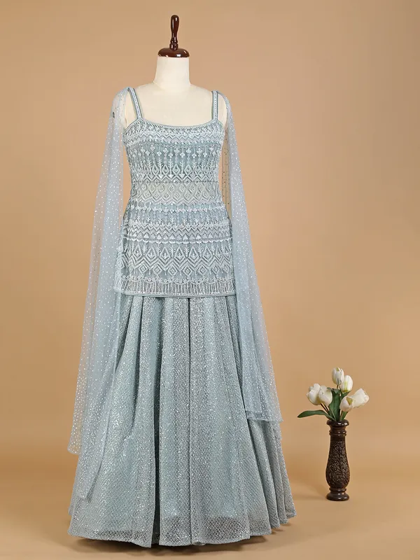 Net desinger mint green lehenga choli