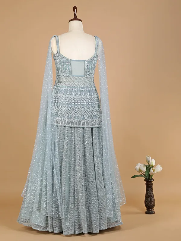Net desinger mint green lehenga choli