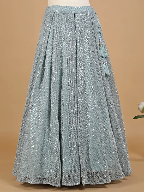Net desinger mint green lehenga choli
