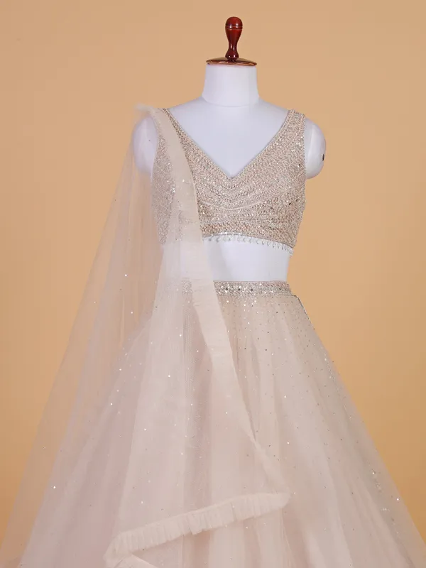 Newest beige net lehenga choli