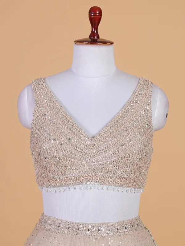 Newest beige net lehenga choli