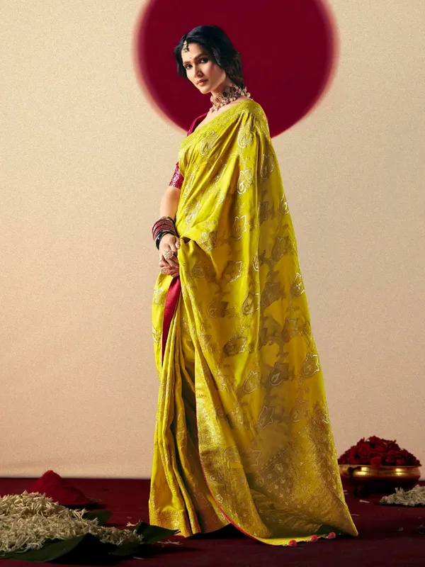 Newest olive dola silk saree