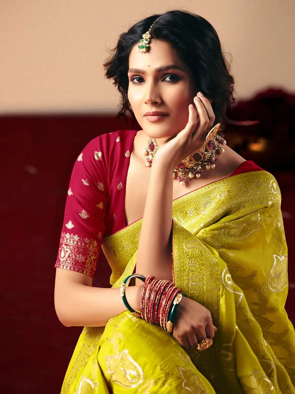 Newest olive dola silk saree