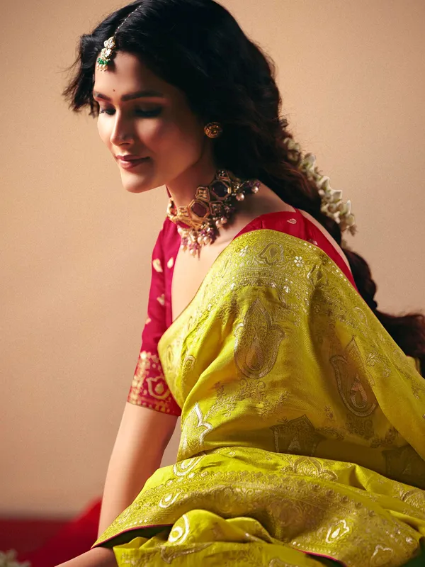 Newest olive dola silk saree
