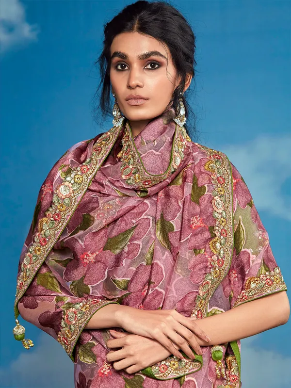Onion pink braso embroidery saree