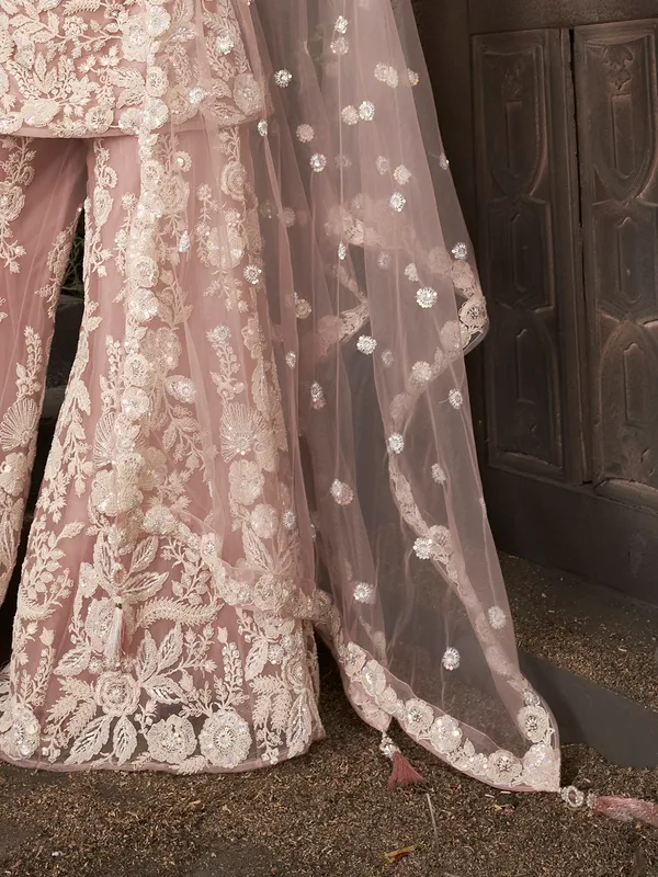 Onion pink designer palazzo net suit