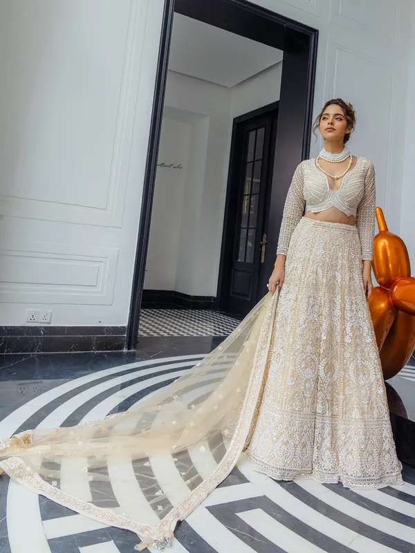 Peach net lehenga choli for women