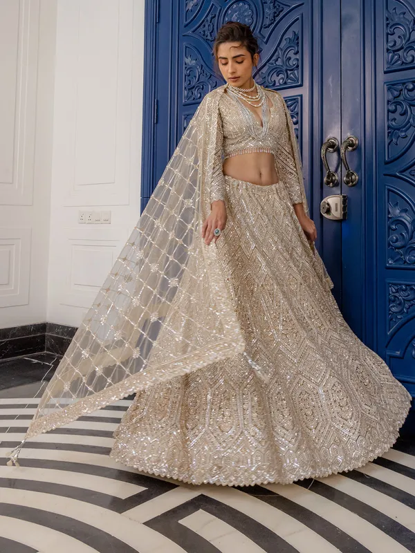 Peach net lehenga choli with stone embellishment