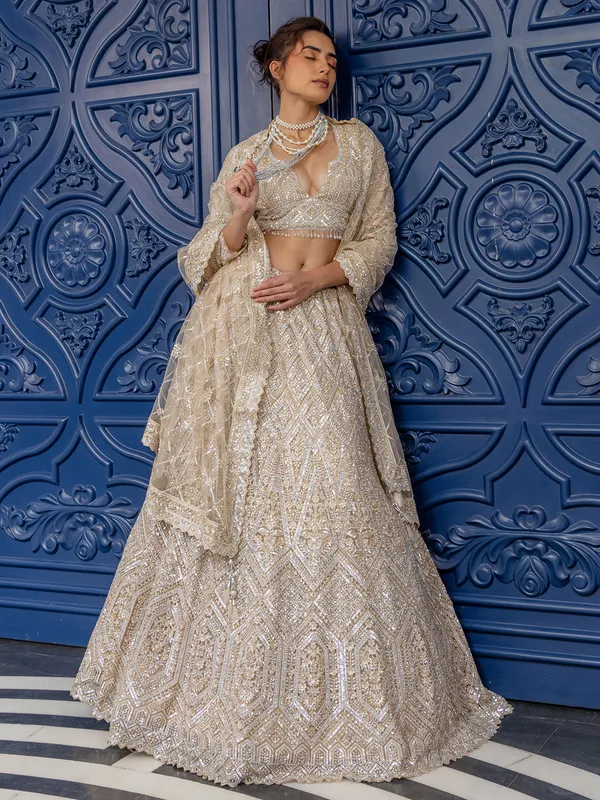 Peach net lehenga choli with stone embellishment
