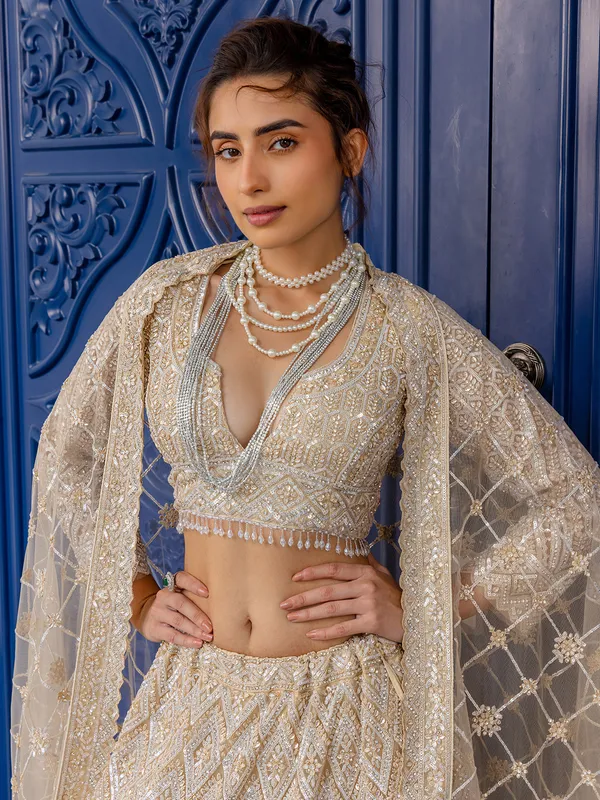 Peach net lehenga choli with stone embellishment