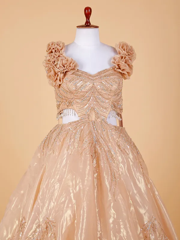 Peach organza designer gown
