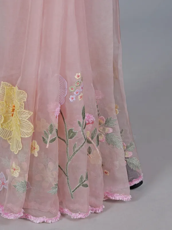 Peach organza saree with embroidered delight