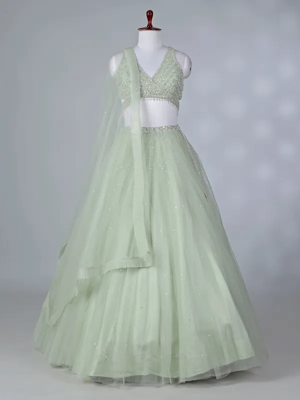 Pista green net lehenga choli with beaded design