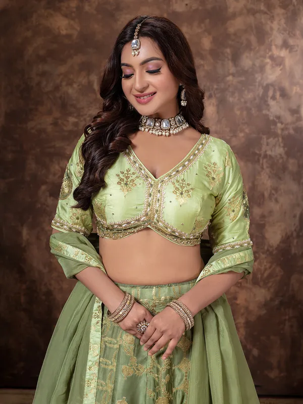 Pista green zari worked lehenga choli in silk