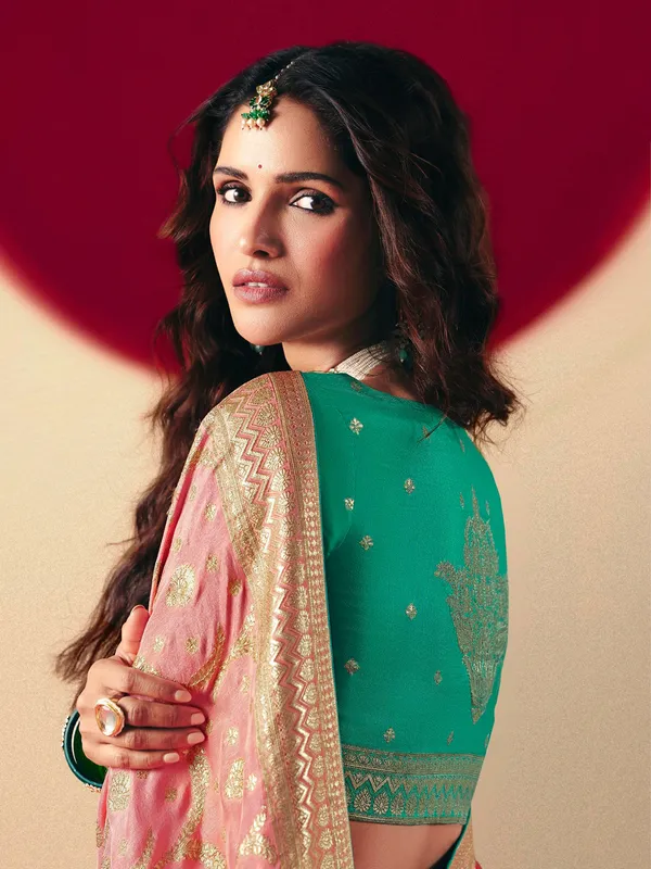 Pretty pink  dola silk saree
