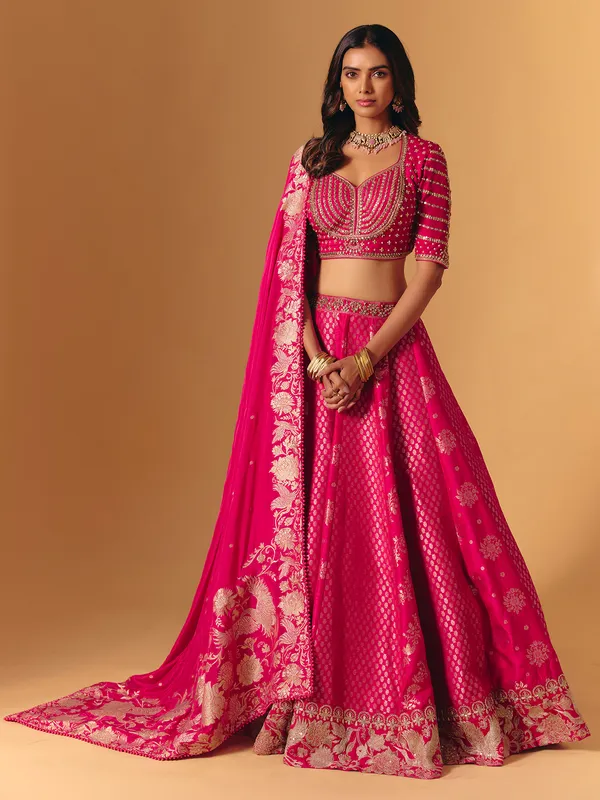 Rani pink banarasi silk lehenga choli with embellishment
