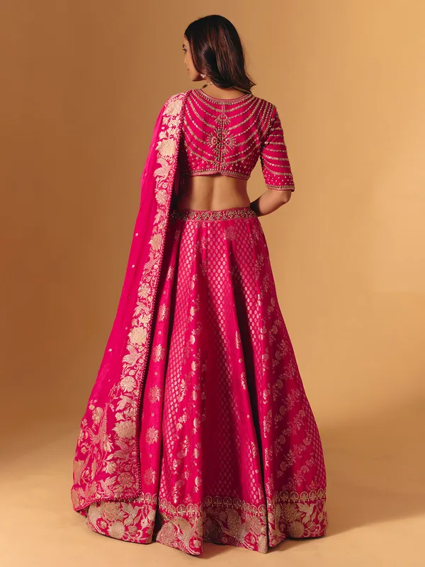 Rani pink banarasi silk lehenga choli with embellishment