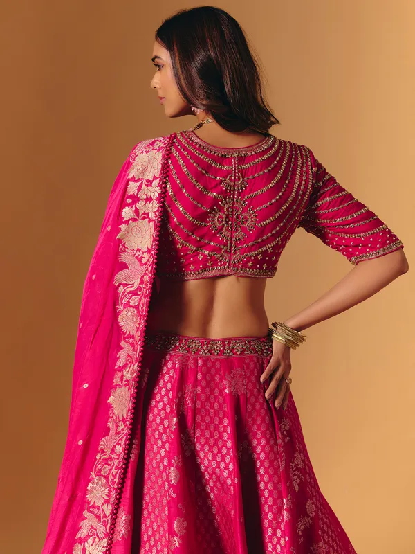 Rani pink banarasi silk lehenga choli with embellishment