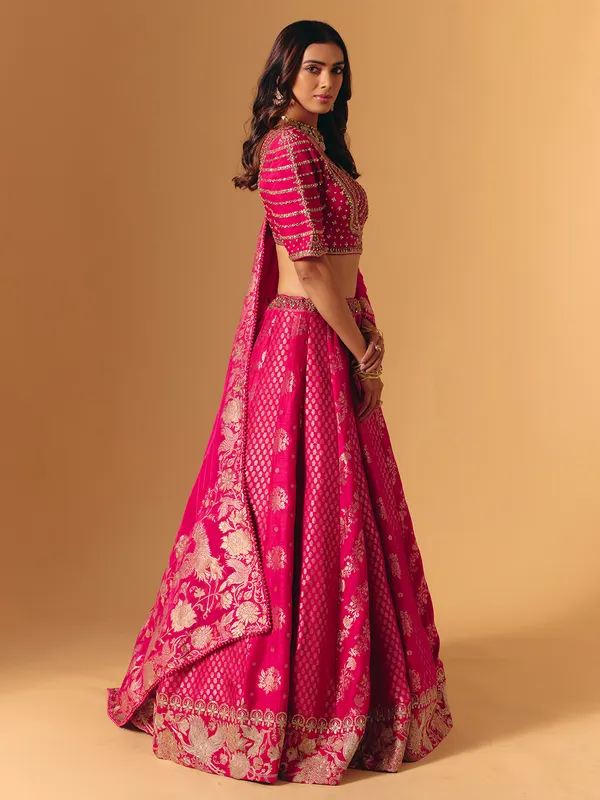 Rani pink banarasi silk lehenga choli with embellishment
