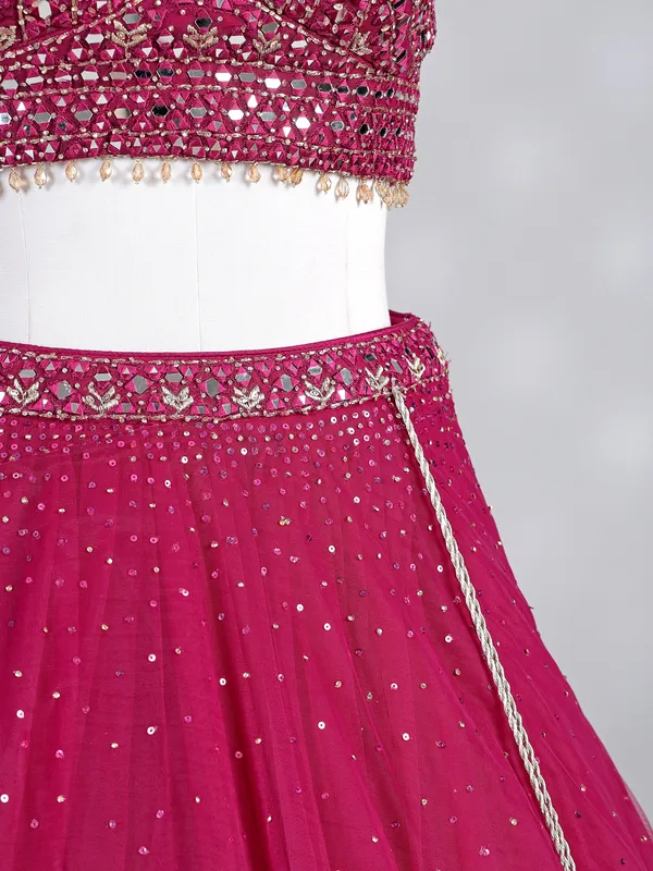 Rani pink net lehenga choli with diamond accents