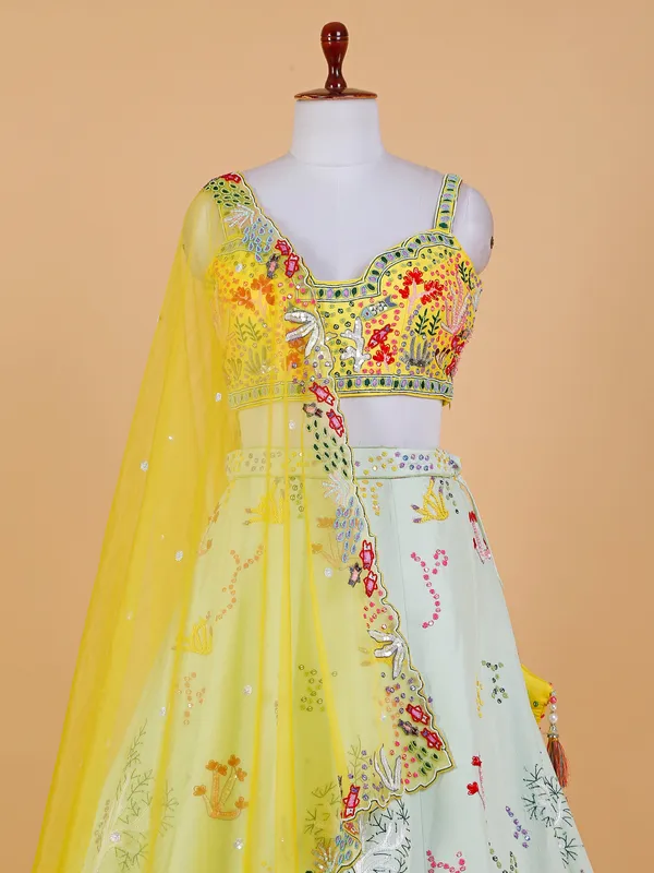 Raw silk light green lehenga choli