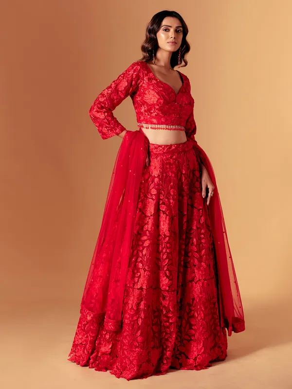 Red net embroidered lehenga choli for wedding wear