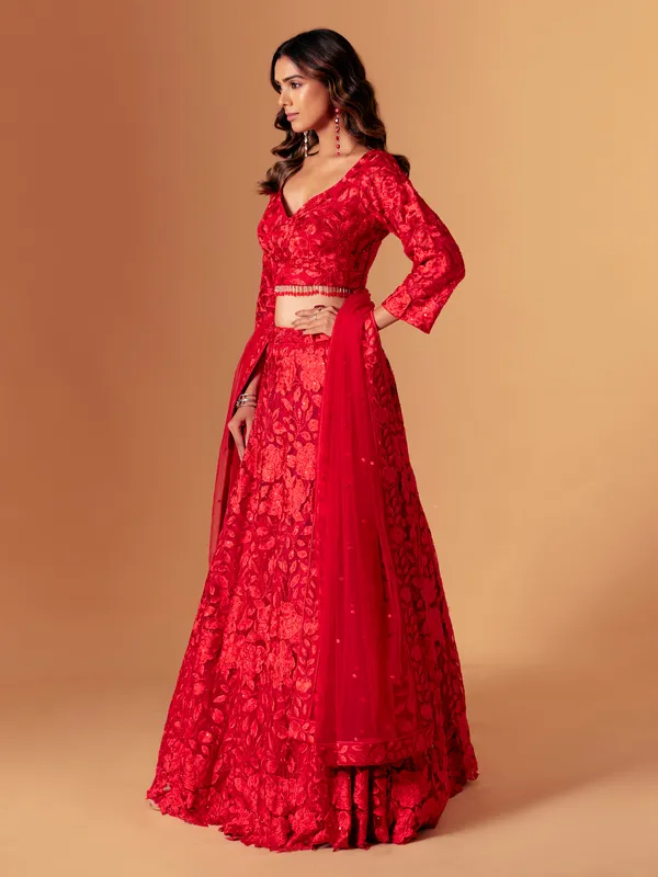 Red net embroidered lehenga choli for wedding wear