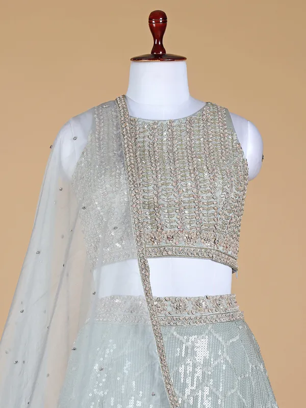 Rich light grey georgette lehenga choli