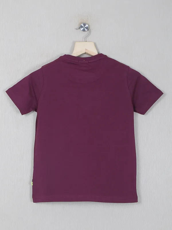 Indian Terrain purple hue cotton t-shirt for boys