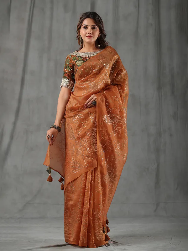 Rust orange organza saree