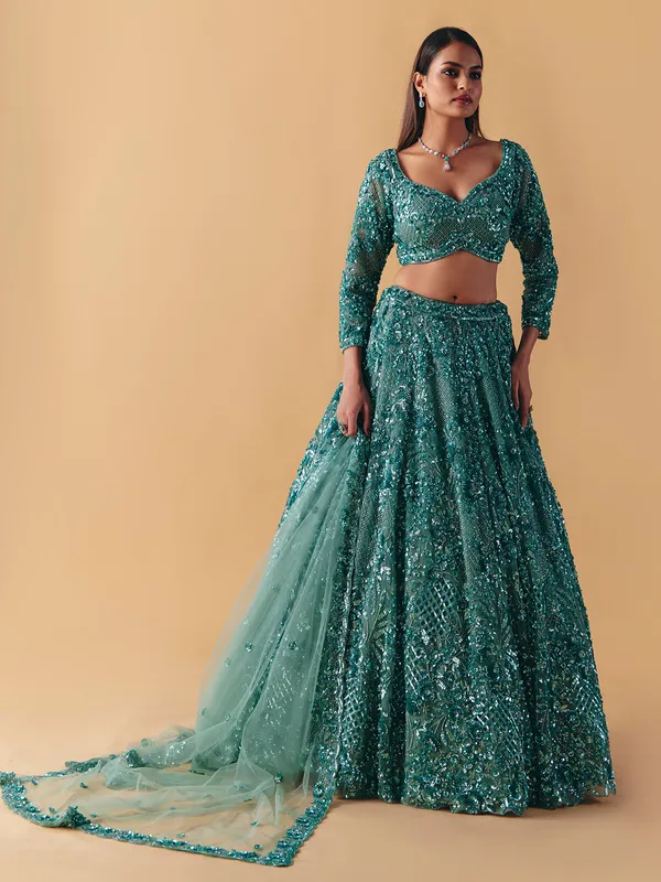 Sage green net lehenga choli with subtle stone glow