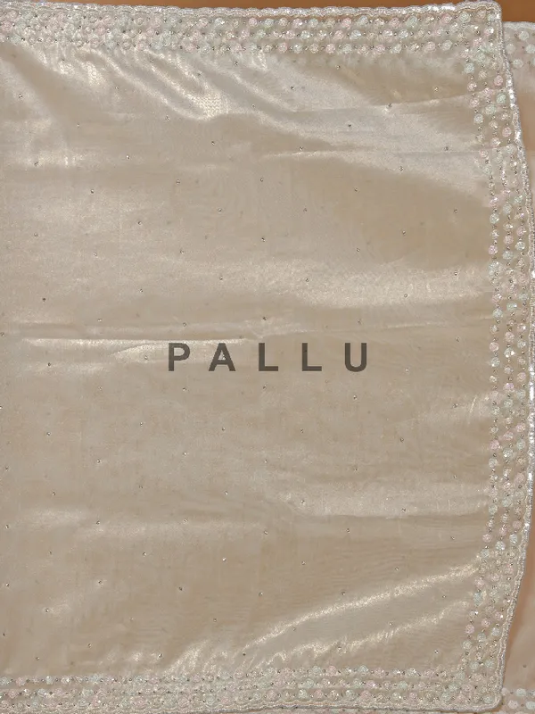Sequin worked mint green organza saree