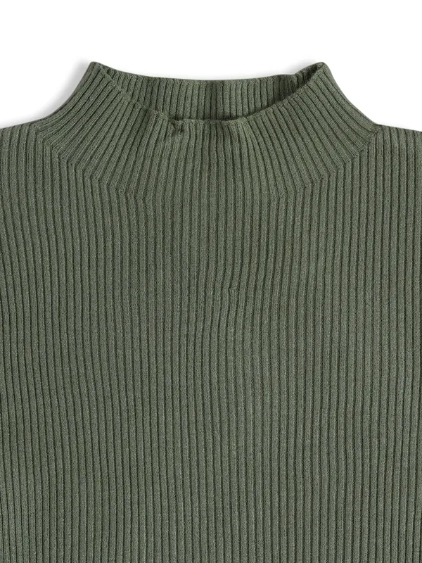 Sheczzar sage green plain knitted top