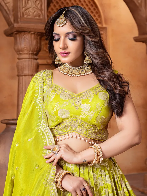 Silk lehenga choli in light green