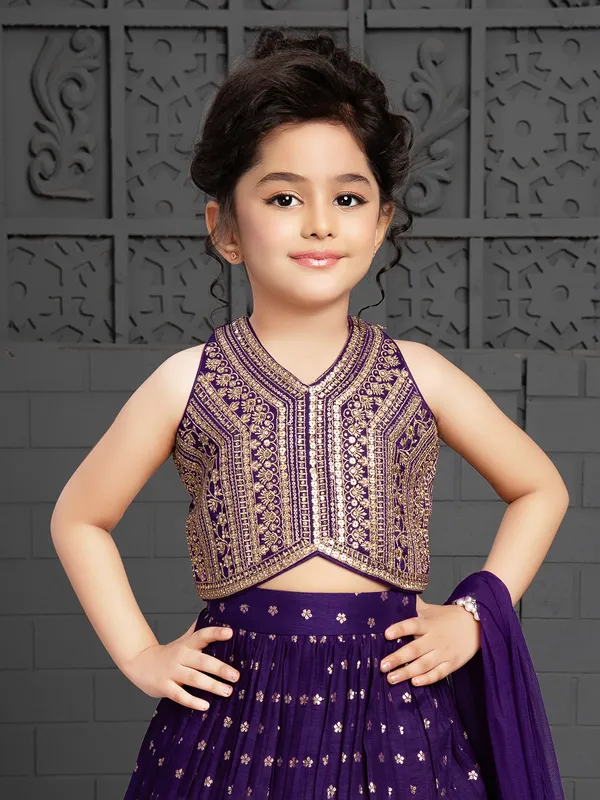 Silk purple lehenga choli with dupatta
