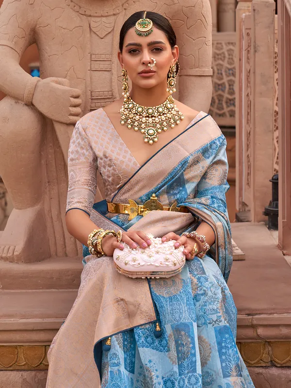 Sky blue organza saree with digital grandeur