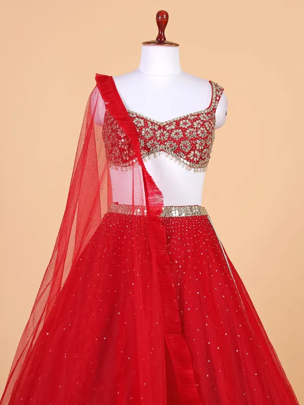 Stnning red net lehenga choli for wedding