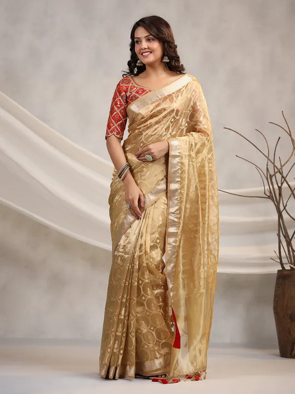 Stunning beige organza saree