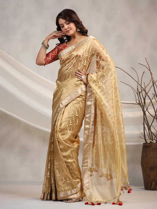 Stunning beige organza saree